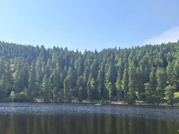 Quelle: Ralf Edinger Blick auf den Mummelsee am gegenüberligenden Ufer Bäume und blauer Himmel